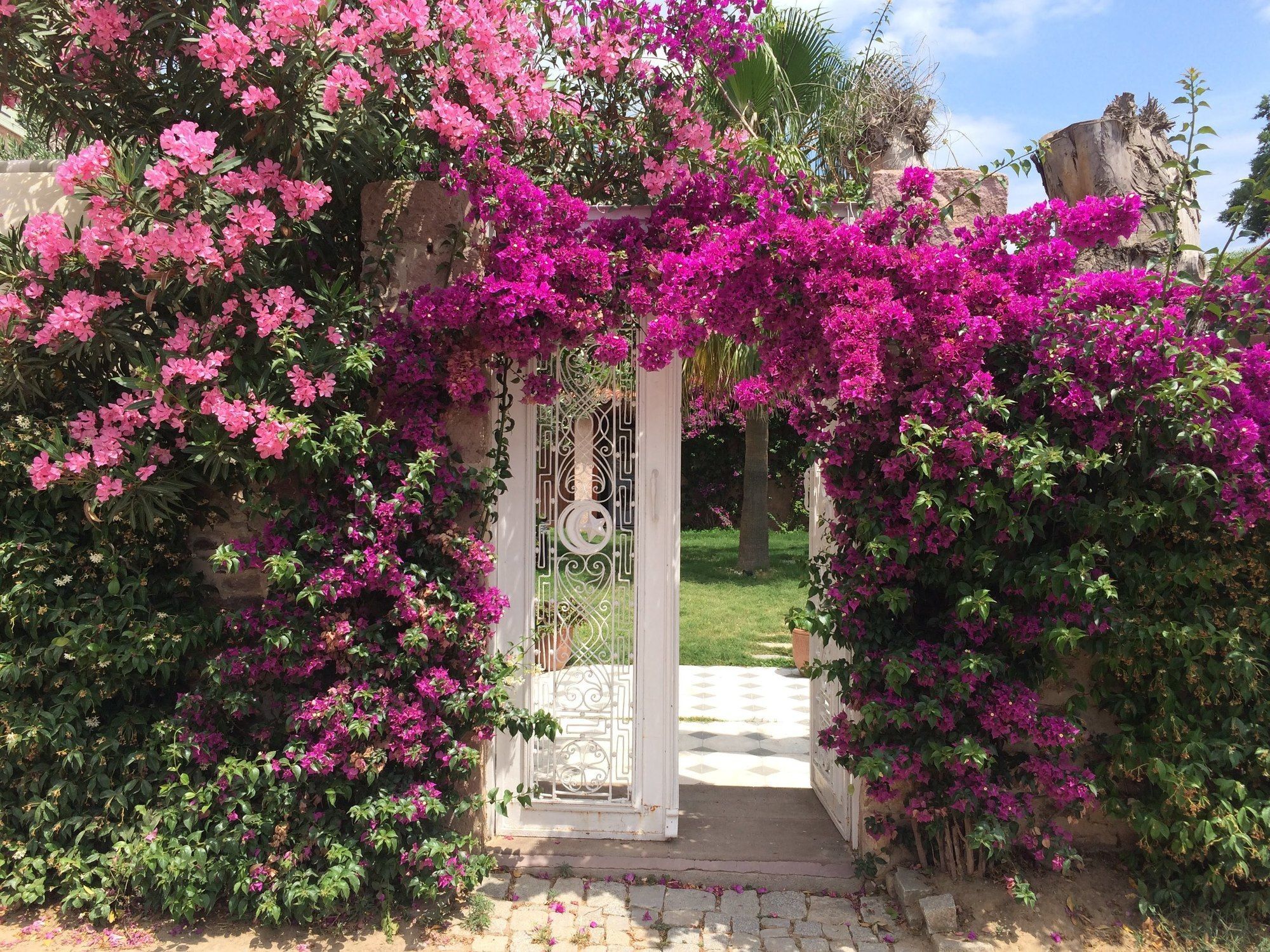 Cunda Has Konak Butik Otel Ayvalı 外观 照片